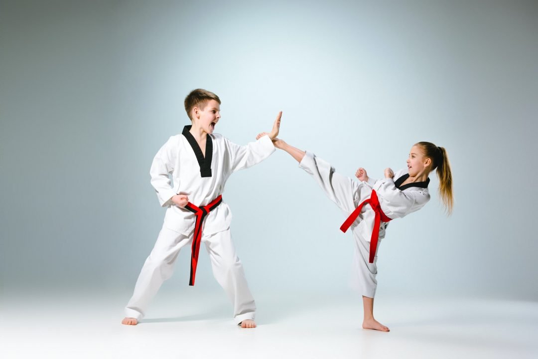 the studio shot of group of kids training karate martial arts 1.jpg